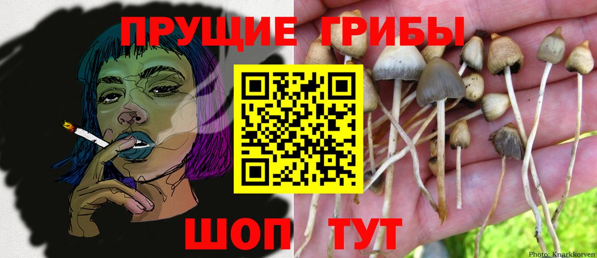 Галлюциногенные грибы прущие грибы  Вход с VPN  Самара 