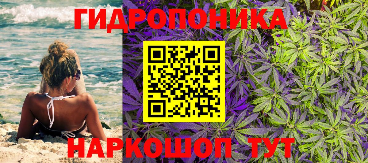Бошки марихуана конопля Самара